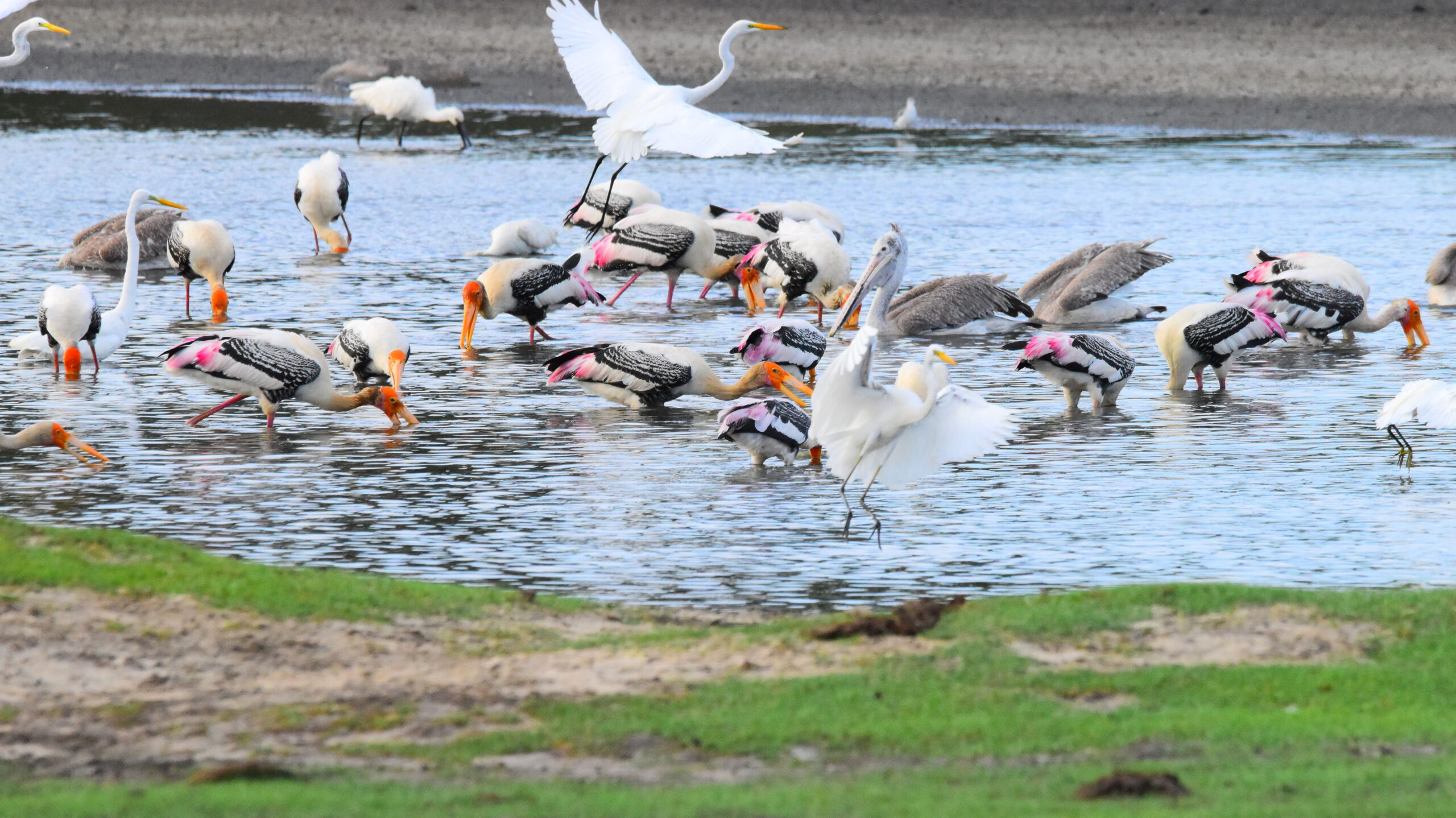 Kumana National Park