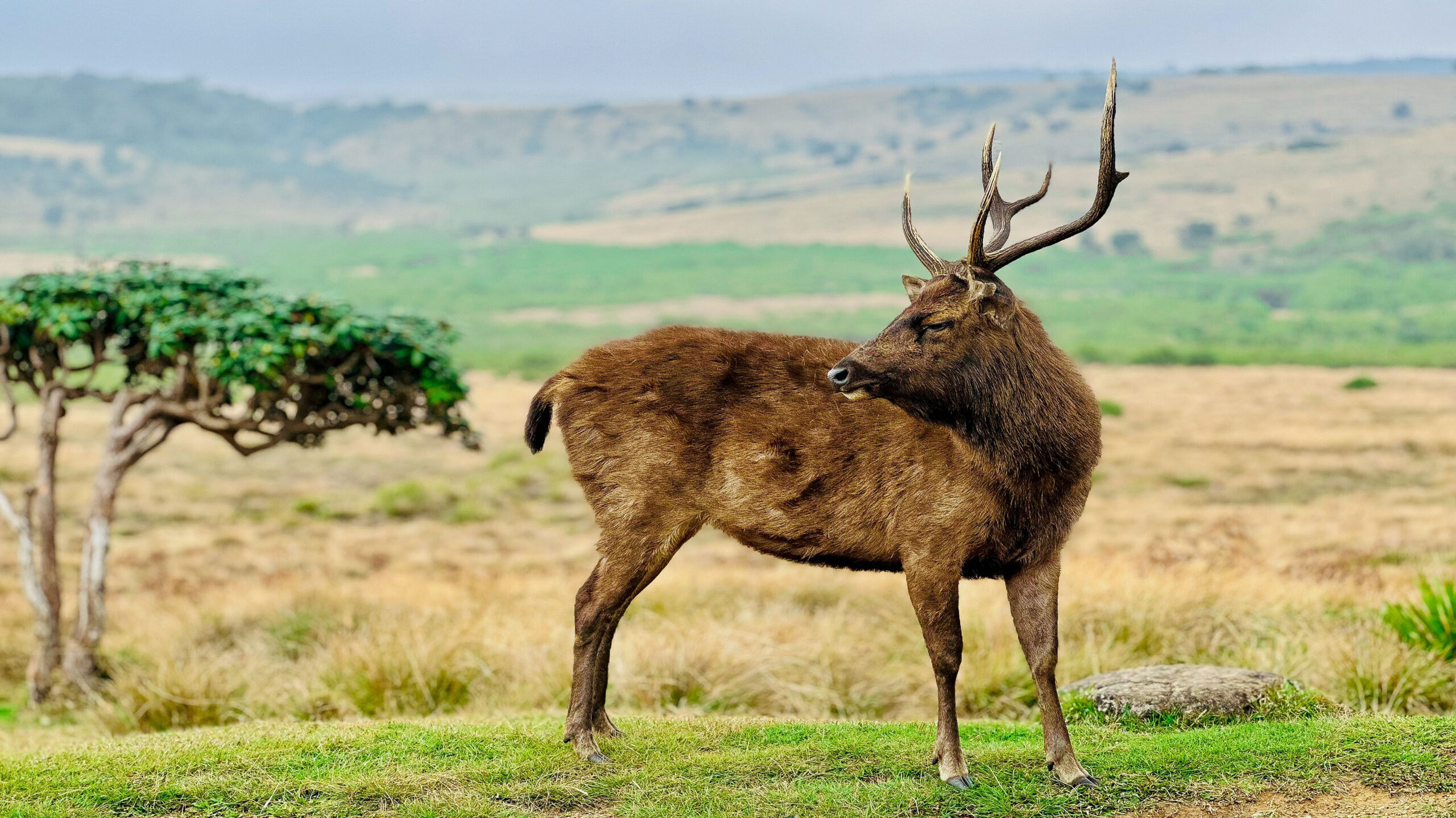 Horton Plains