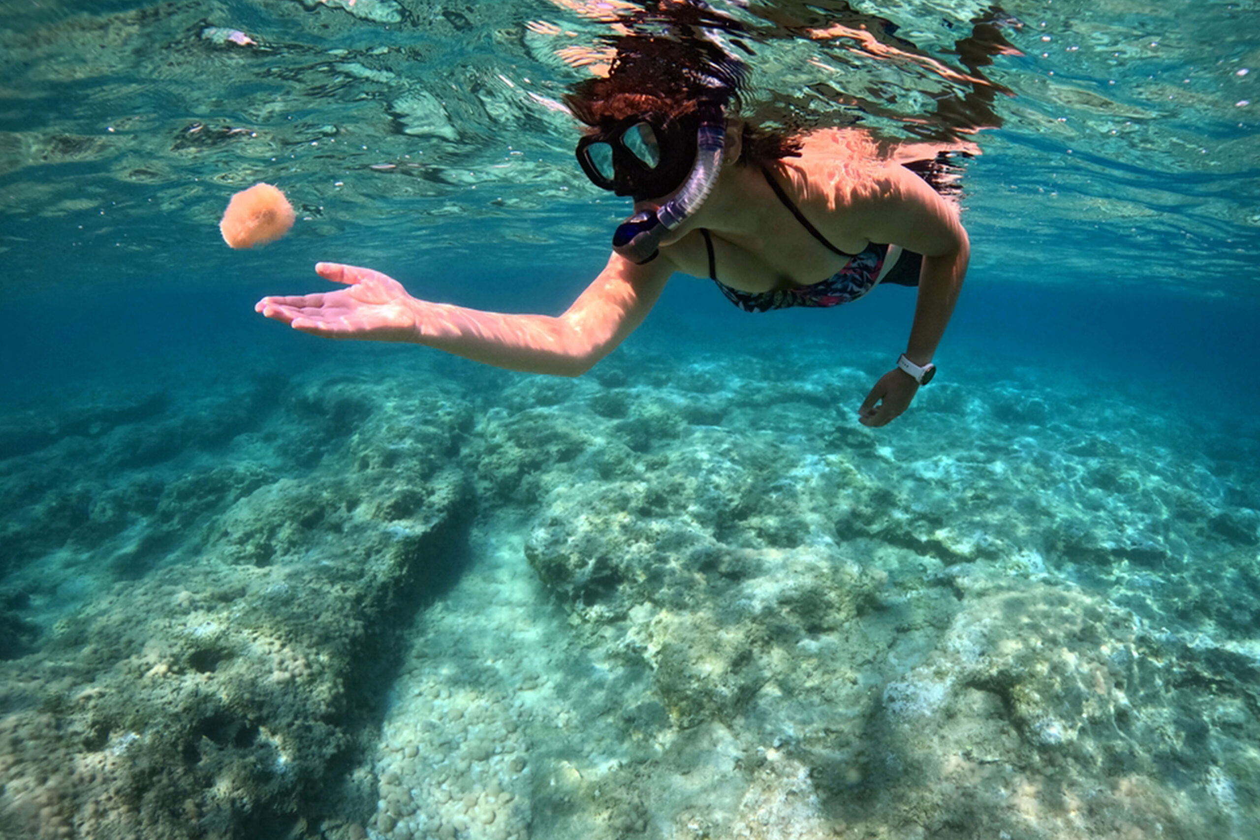 Snorkeling or Scuba Diving
