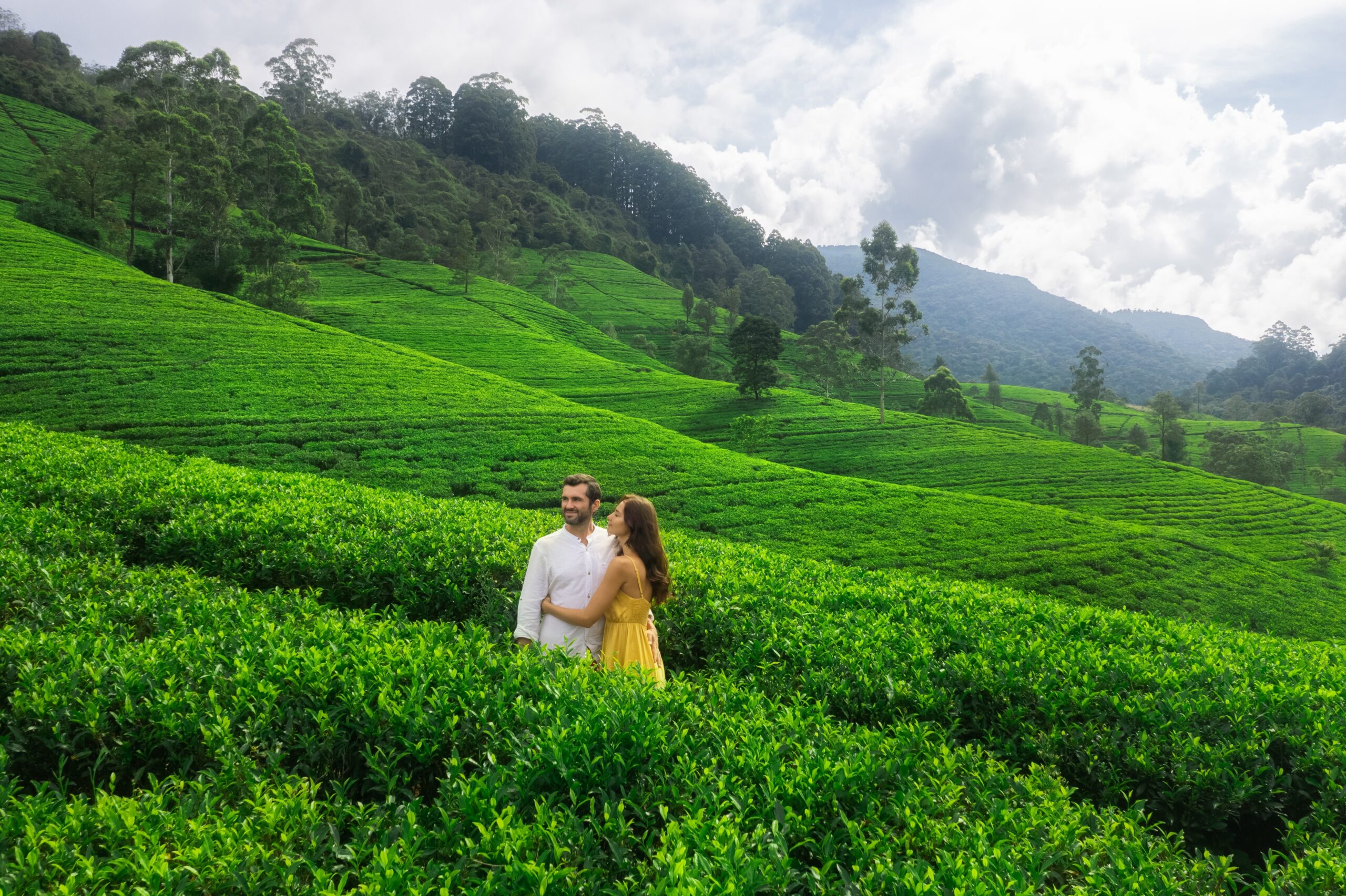 Scenic Trails of Sri Lanka